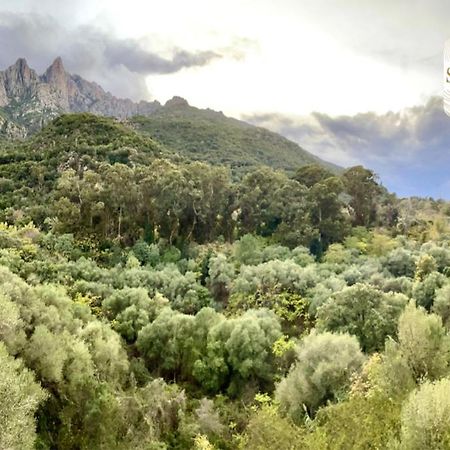 Chez Francoise Διαμέρισμα Porto  Εξωτερικό φωτογραφία