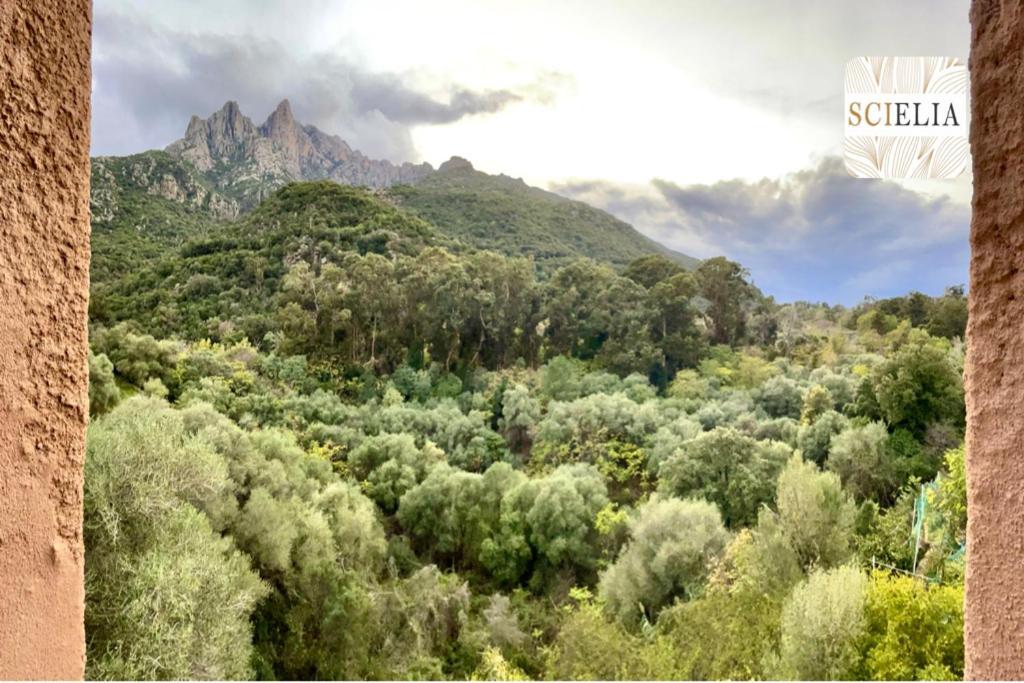 Chez Francoise Διαμέρισμα Porto  Εξωτερικό φωτογραφία