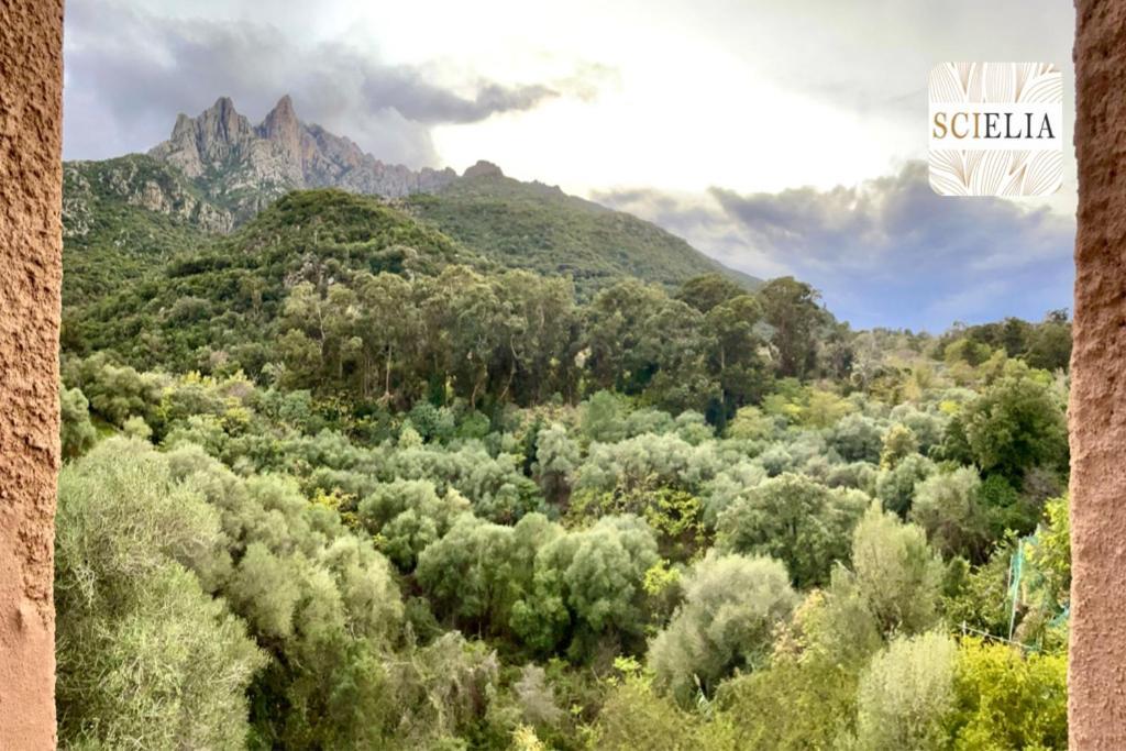 Chez Francoise Διαμέρισμα Porto  Εξωτερικό φωτογραφία
